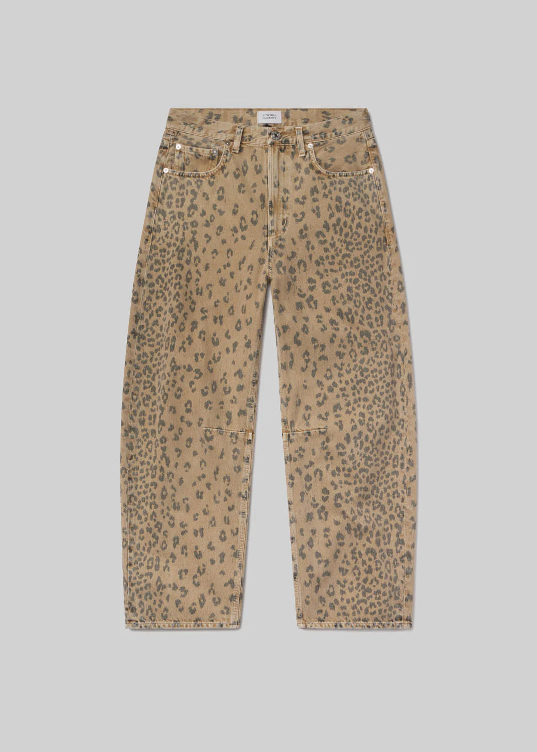 Miro - Cheetah