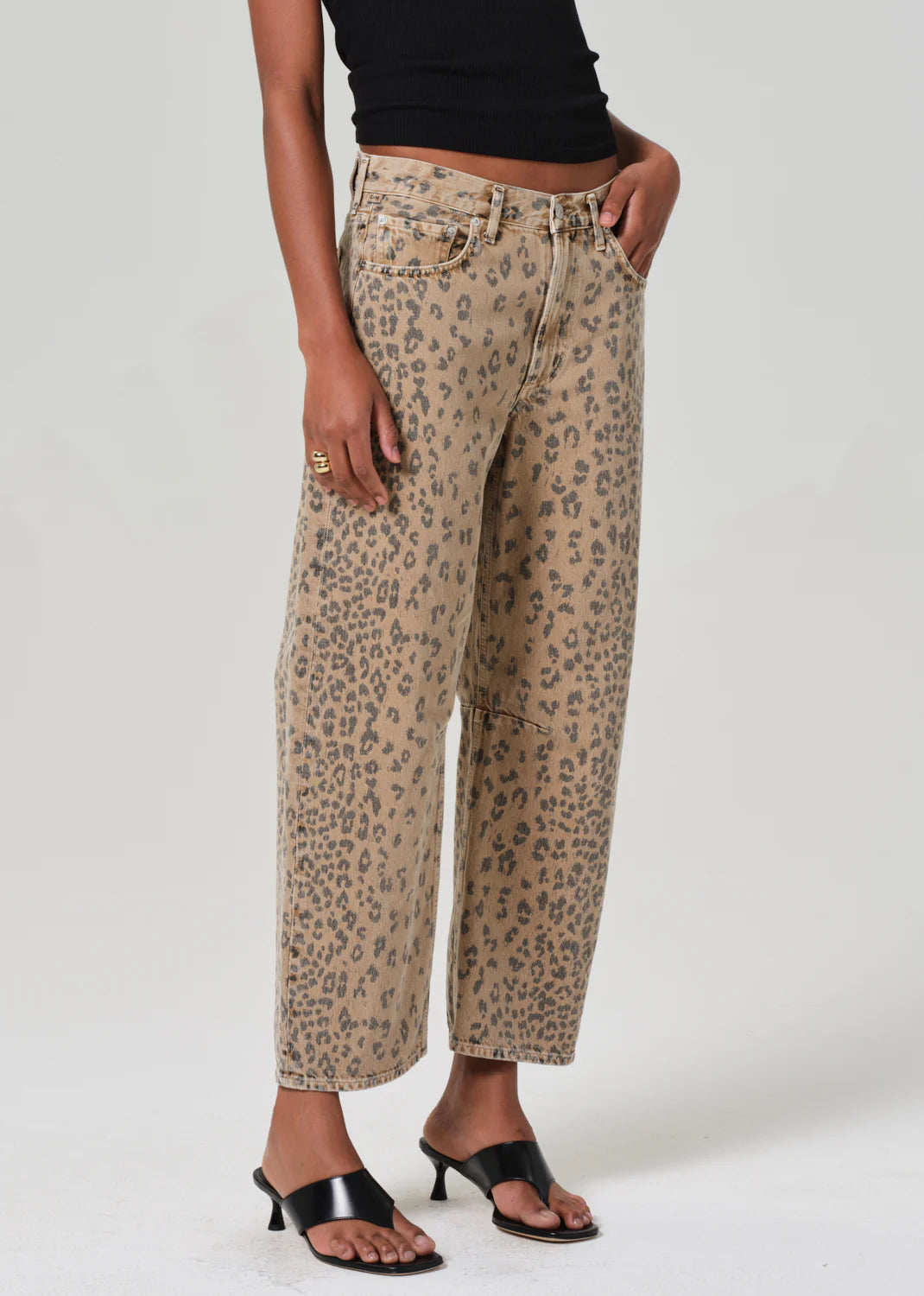 Miro - Cheetah