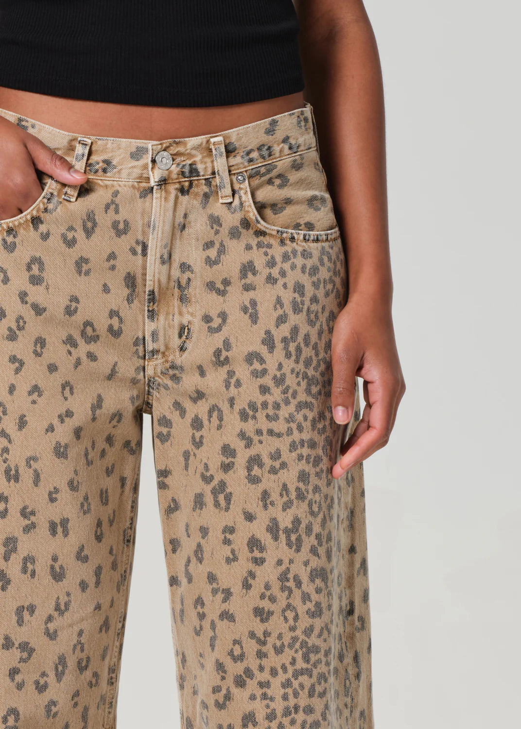 Miro - Cheetah