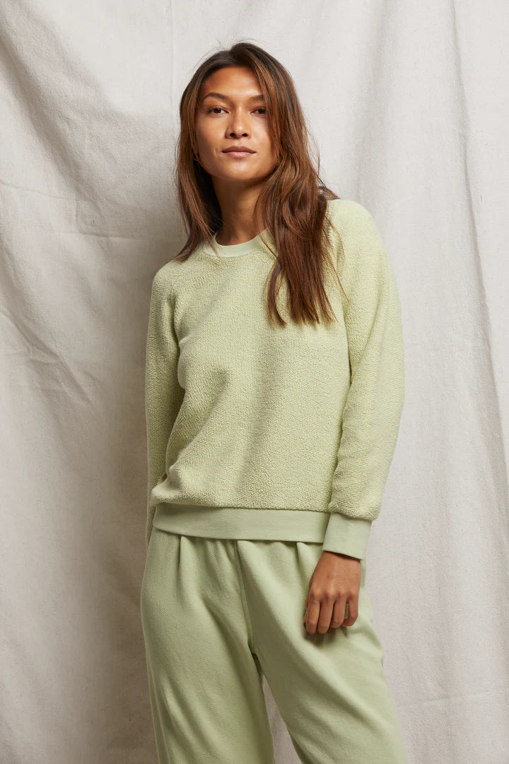 perfect white tee Ziggy Sweatshirt in Pistachio Light Green| Shop Eleanor