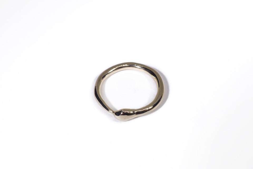 Talisman Ouroboros Ring | Shop Eleanor 